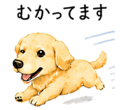 844999388