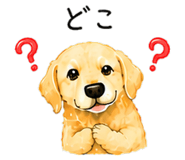 844999390