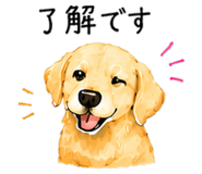 844999392