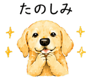 844999394