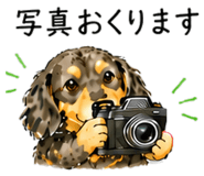 844999397