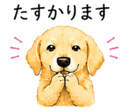 844999400