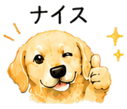 844999410