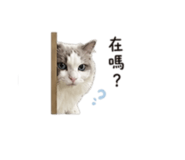 845000065