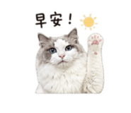 845000067