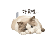 845000068
