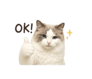 845000071