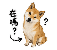 845001450