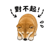 845001456