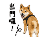 845001460