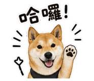 845001585
