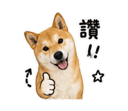 845001590