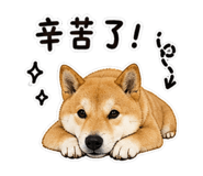 845001597