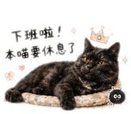 845001936