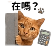 845002627