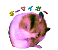 845003259