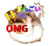 845003260