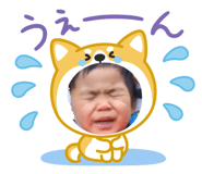 845003291
