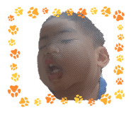 845003293