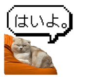 845003485