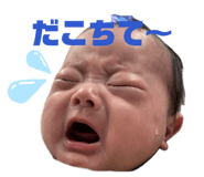 845003560