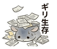 845003645