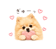 845004257