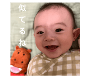 845004367