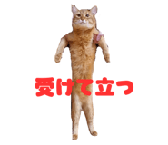 845004483