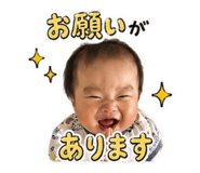 845004627