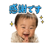 845004650