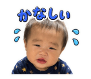 845004653