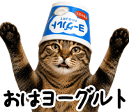 845004945