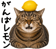 845004980