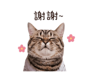 845005400
