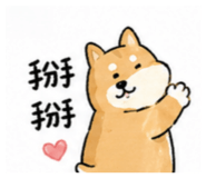 845005532