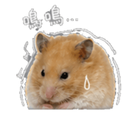 845005569