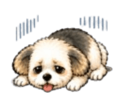 845006590