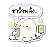 845007978