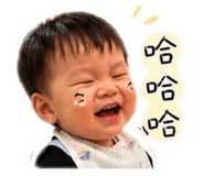845008033
