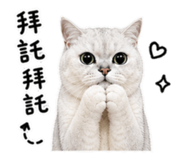 845008483