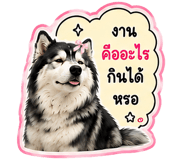 845008679