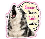845008683