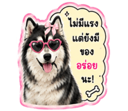 845008688