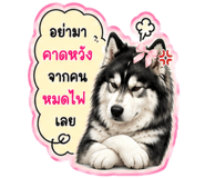 845008690
