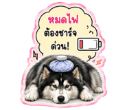 845008697