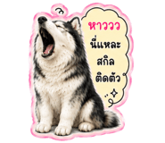 845008708