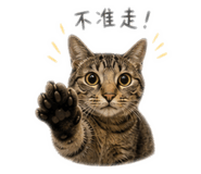 845009090