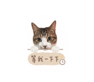 845009558