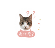 845009560